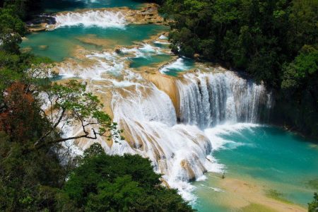 Yaxchilán Y Bonampak Palenque 3 Días